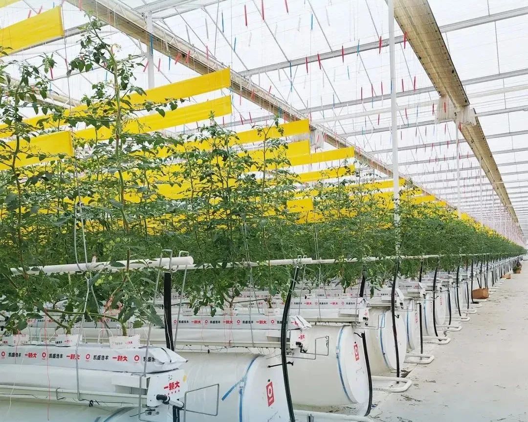		 创价值 谱新篇 | 天下首台（套）装备实现工业应用、ENR榜单排名再立异高、荣获种种行业奖项…… _企业动态_CA88集团有限公司	