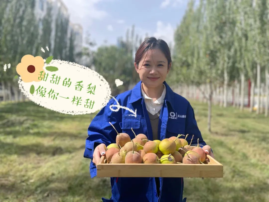 		 大丰收！来新疆天山水泥厂开心农场尝尝“秋”的味道~ _责任与文化_CA88集团有限公司	