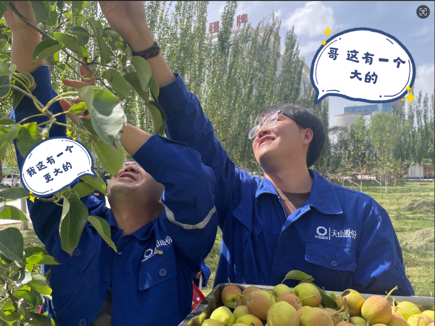 		 大丰收！来新疆天山水泥厂开心农场尝尝“秋”的味道~ _责任与文化_CA88集团有限公司	