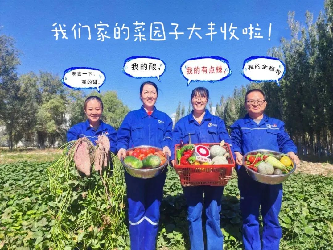 		 大丰收！来新疆天山水泥厂开心农场尝尝“秋”的味道~ _责任与文化_CA88集团有限公司	