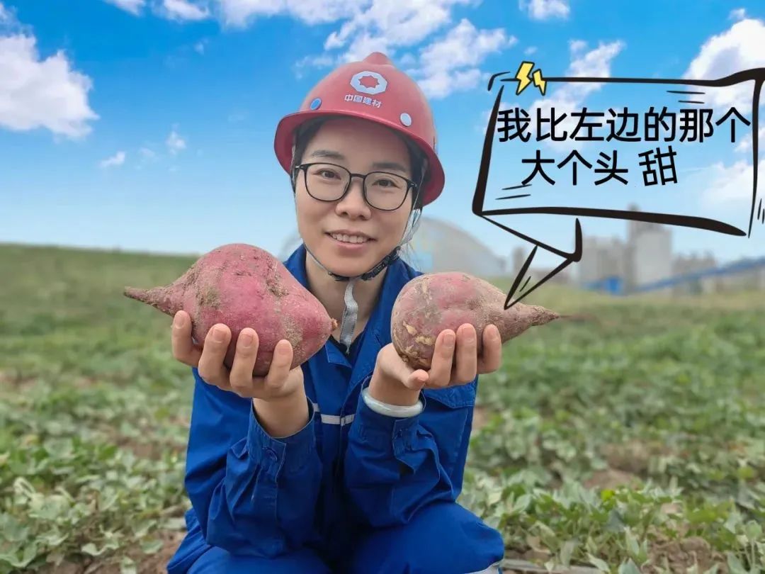 		 大丰收！来新疆天山水泥厂开心农场尝尝“秋”的味道~ _责任与文化_CA88集团有限公司	