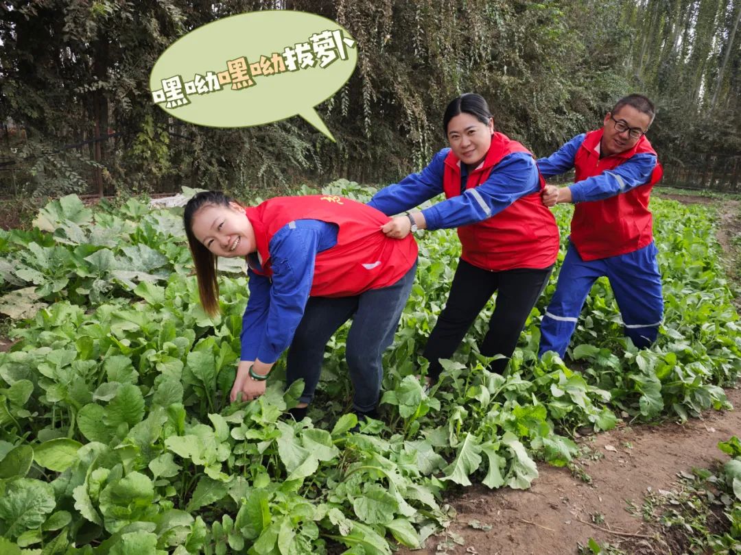 		 大丰收！来新疆天山水泥厂开心农场尝尝“秋”的味道~ _责任与文化_CA88集团有限公司	