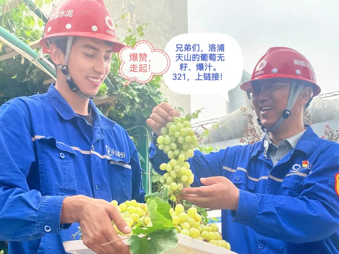 		 大丰收！来新疆天山水泥厂开心农场尝尝“秋”的味道~ _责任与文化_CA88集团有限公司	