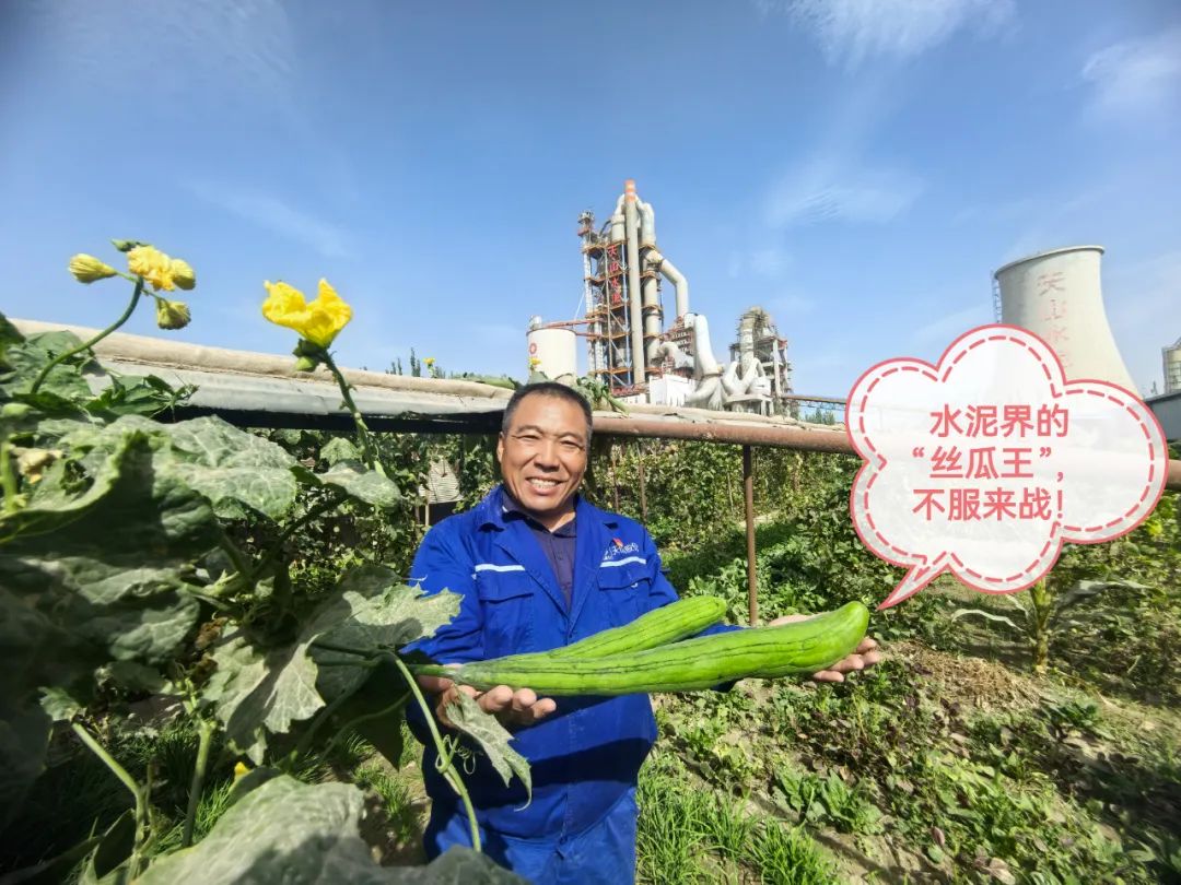 		 大丰收！来新疆天山水泥厂开心农场尝尝“秋”的味道~ _责任与文化_CA88集团有限公司	
