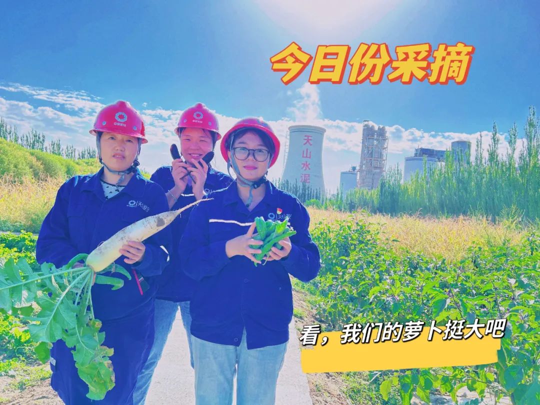		 大丰收！来新疆天山水泥厂开心农场尝尝“秋”的味道~ _责任与文化_CA88集团有限公司	