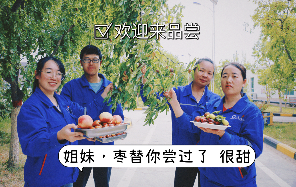 		 大丰收！来新疆天山水泥厂开心农场尝尝“秋”的味道~ _责任与文化_CA88集团有限公司	
