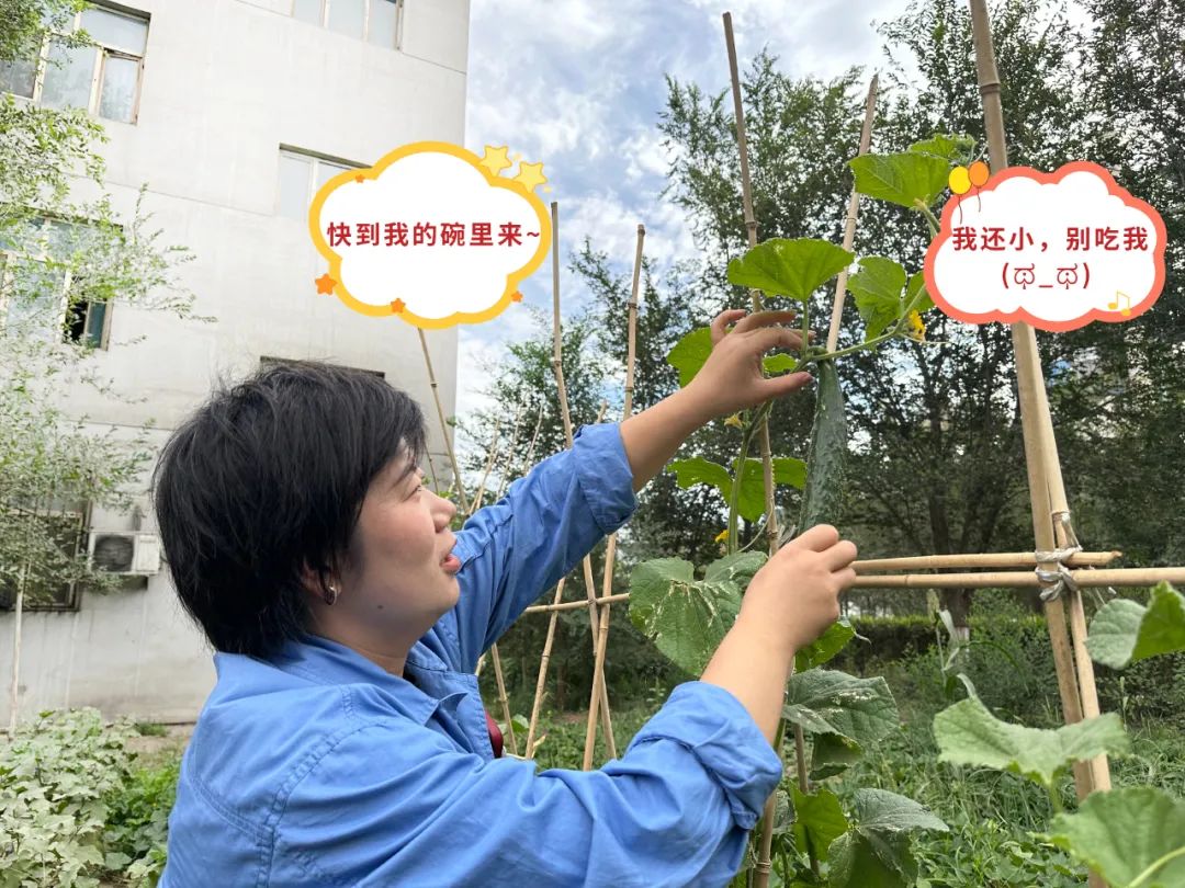 		 大丰收！来新疆天山水泥厂开心农场尝尝“秋”的味道~ _责任与文化_CA88集团有限公司	