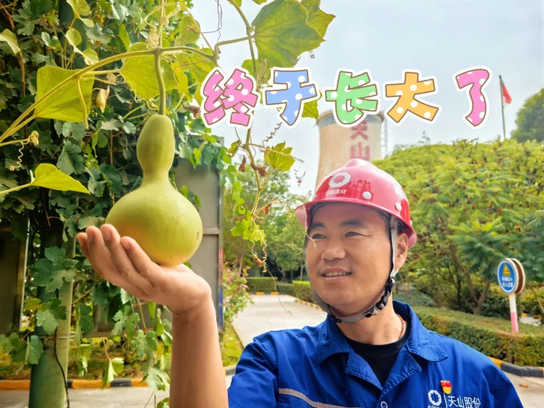 		 大丰收！来新疆天山水泥厂开心农场尝尝“秋”的味道~ _责任与文化_CA88集团有限公司	