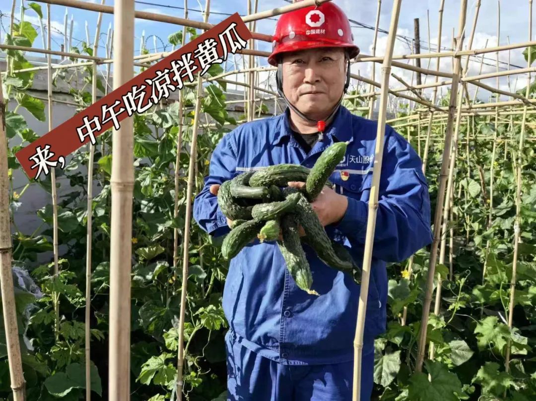 		 大丰收！来新疆天山水泥厂开心农场尝尝“秋”的味道~ _责任与文化_CA88集团有限公司	