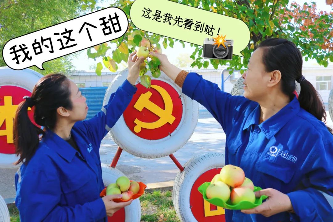 		 大丰收！来新疆天山水泥厂开心农场尝尝“秋”的味道~ _责任与文化_CA88集团有限公司	