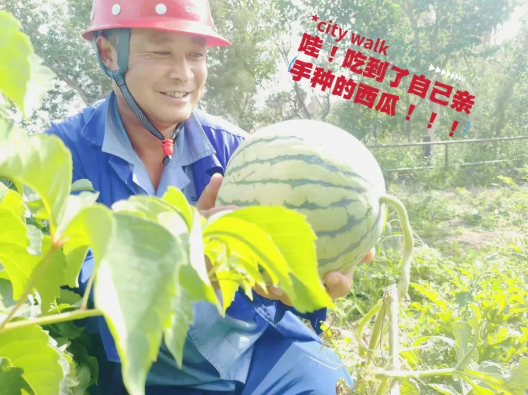 		 大丰收！来新疆天山水泥厂开心农场尝尝“秋”的味道~ _责任与文化_CA88集团有限公司	