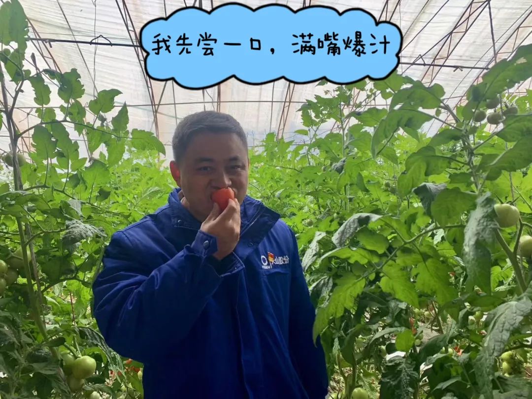 		 大丰收！来新疆天山水泥厂开心农场尝尝“秋”的味道~ _责任与文化_CA88集团有限公司	