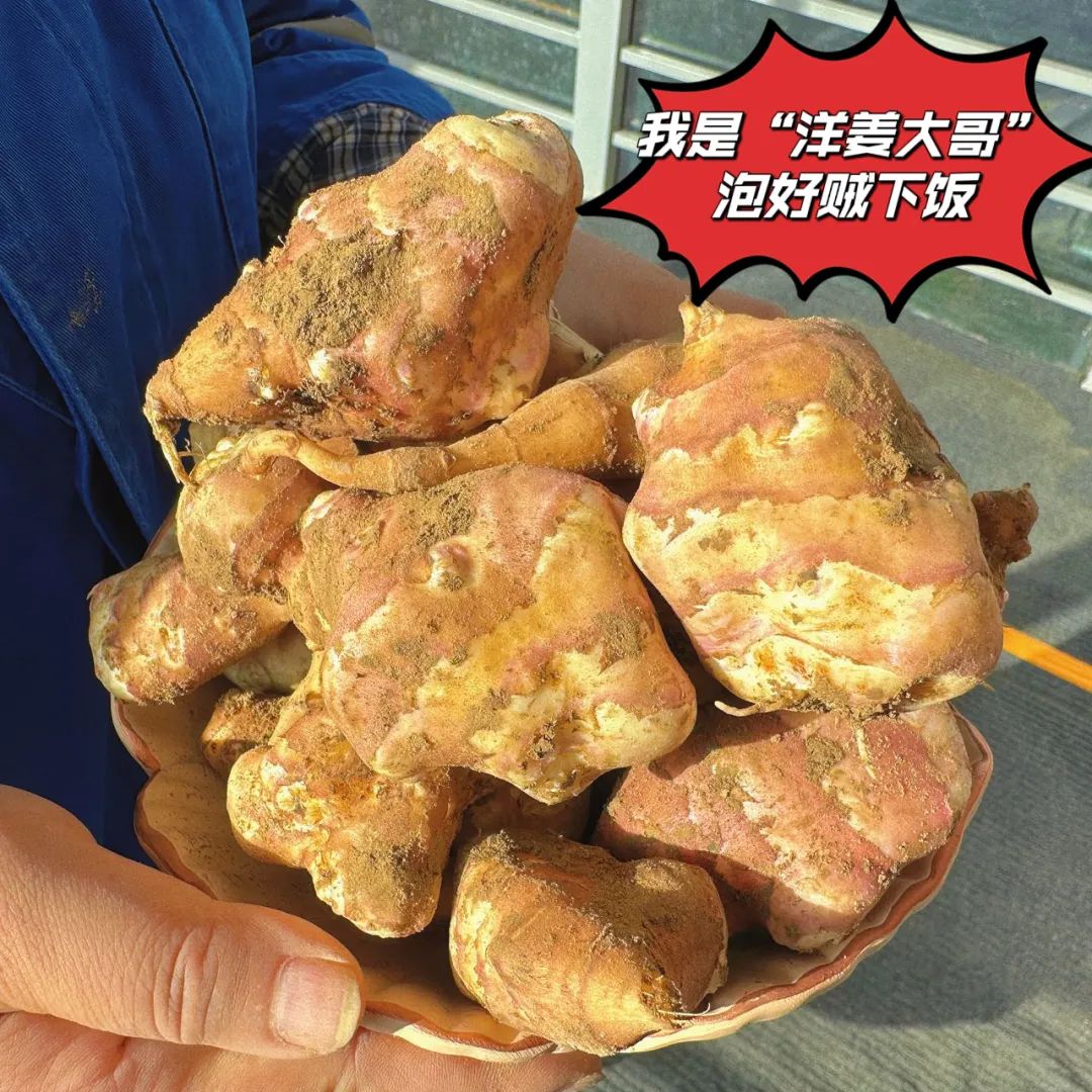 		 大丰收！来新疆天山水泥厂开心农场尝尝“秋”的味道~ _责任与文化_CA88集团有限公司	