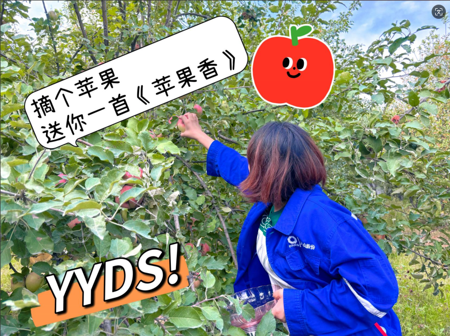 		 大丰收！来新疆天山水泥厂开心农场尝尝“秋”的味道~ _责任与文化_CA88集团有限公司	