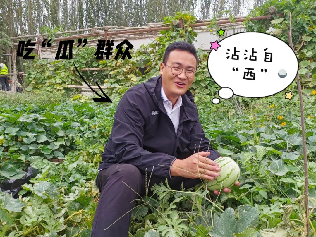		 大丰收！来新疆天山水泥厂开心农场尝尝“秋”的味道~ _责任与文化_CA88集团有限公司	