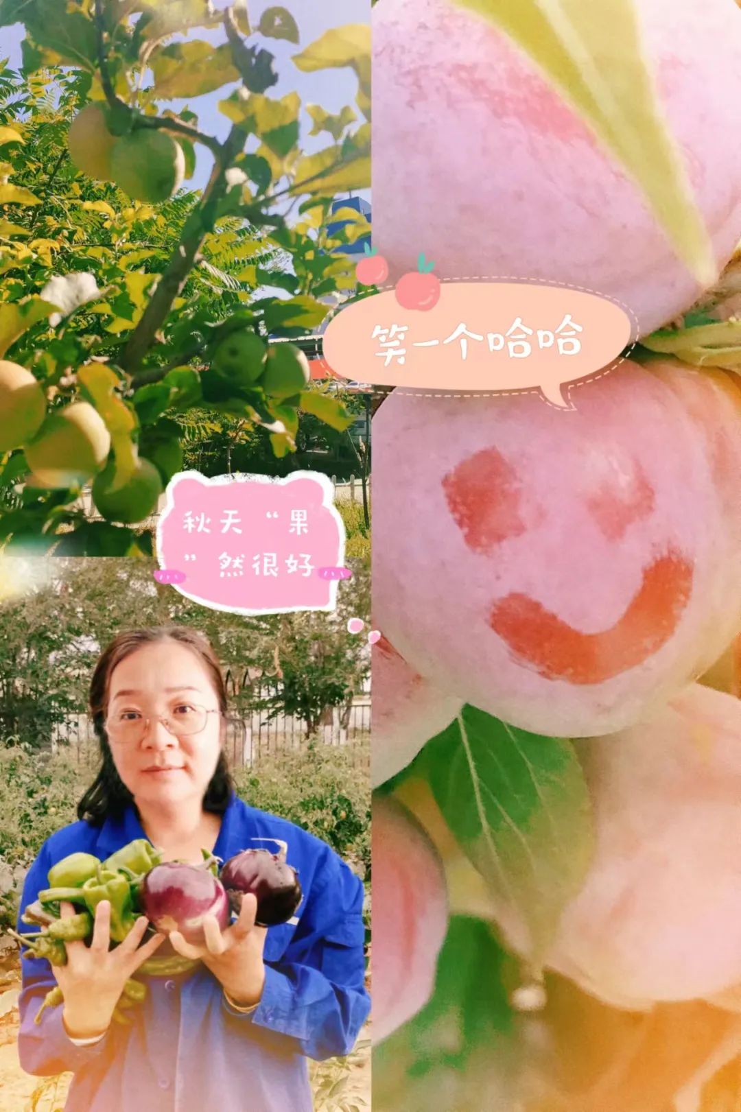 		 大丰收！来新疆天山水泥厂开心农场尝尝“秋”的味道~ _责任与文化_CA88集团有限公司	