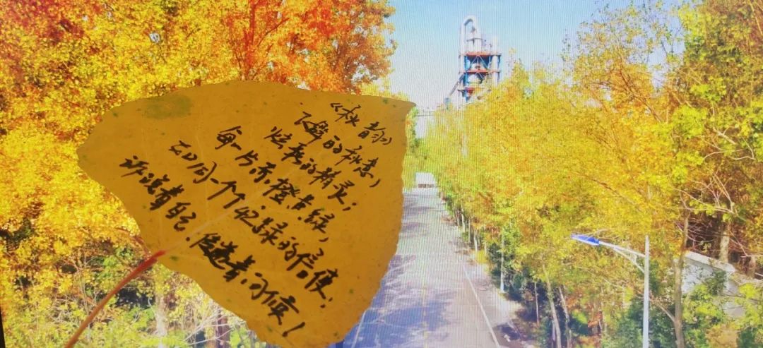 		 CA88 | 捉住秋的尾巴，，，感受建材人的诗意浪漫~ _企业动态_CA88集团有限公司	