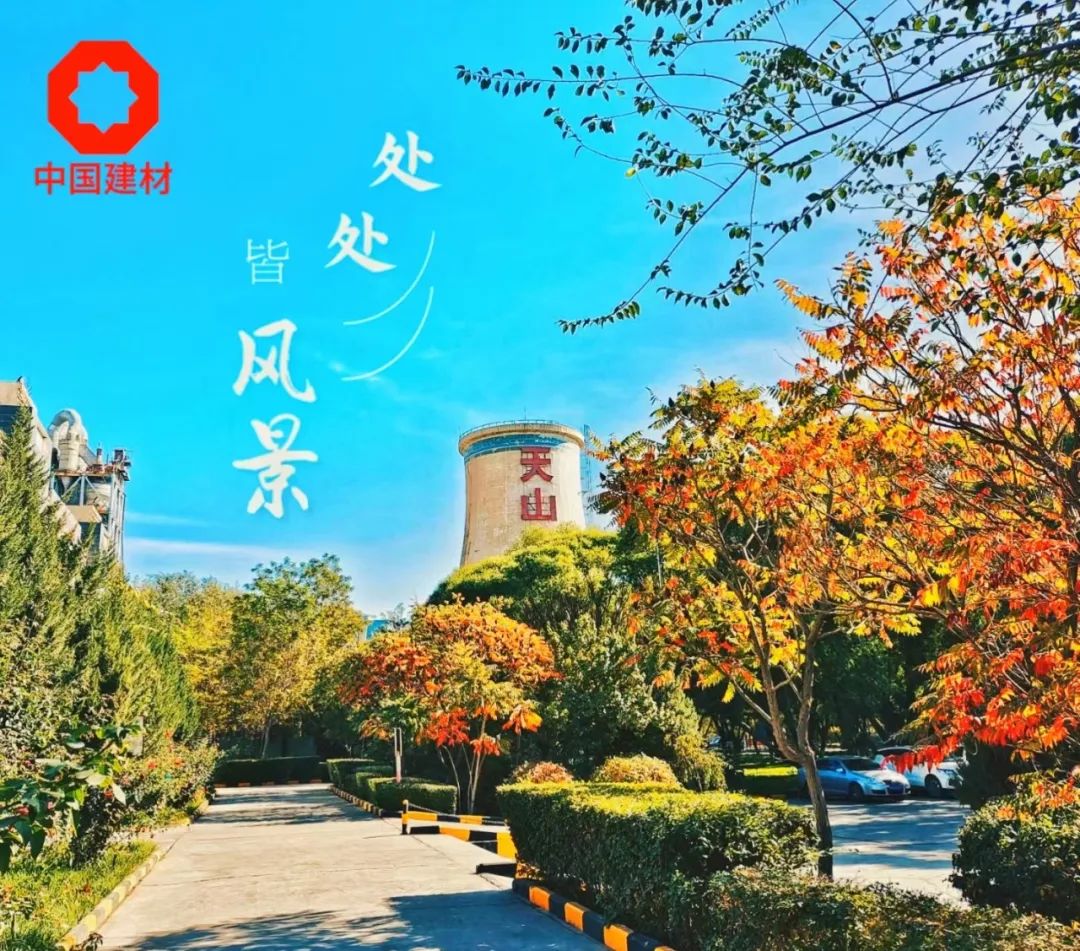 		 CA88 | 捉住秋的尾巴，，，感受建材人的诗意浪漫~ _企业动态_CA88集团有限公司	