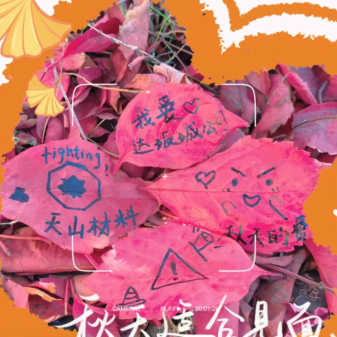 		 CA88 | 捉住秋的尾巴，，，感受建材人的诗意浪漫~ _企业动态_CA88集团有限公司	
