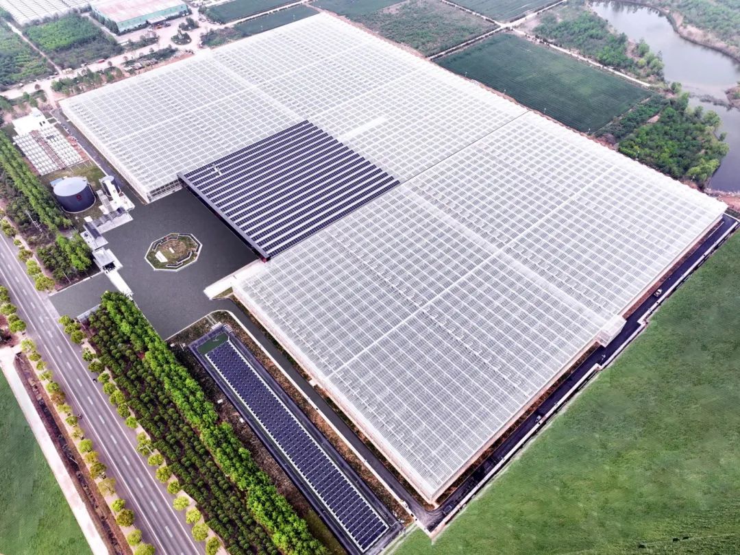 		中央企业先进整体 | CA88工程集团：奋力谱写天下一流国际工程公司高质量生长新篇章_企业动态_CA88集团有限公司	