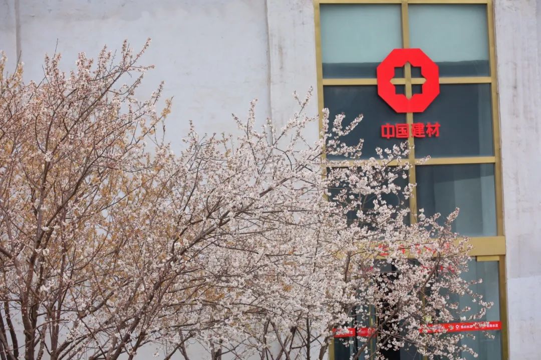 		清明·踏青 | 粉了！中建材的工业美学遇上春日浪漫~_责任与文化_CA88集团有限公司	