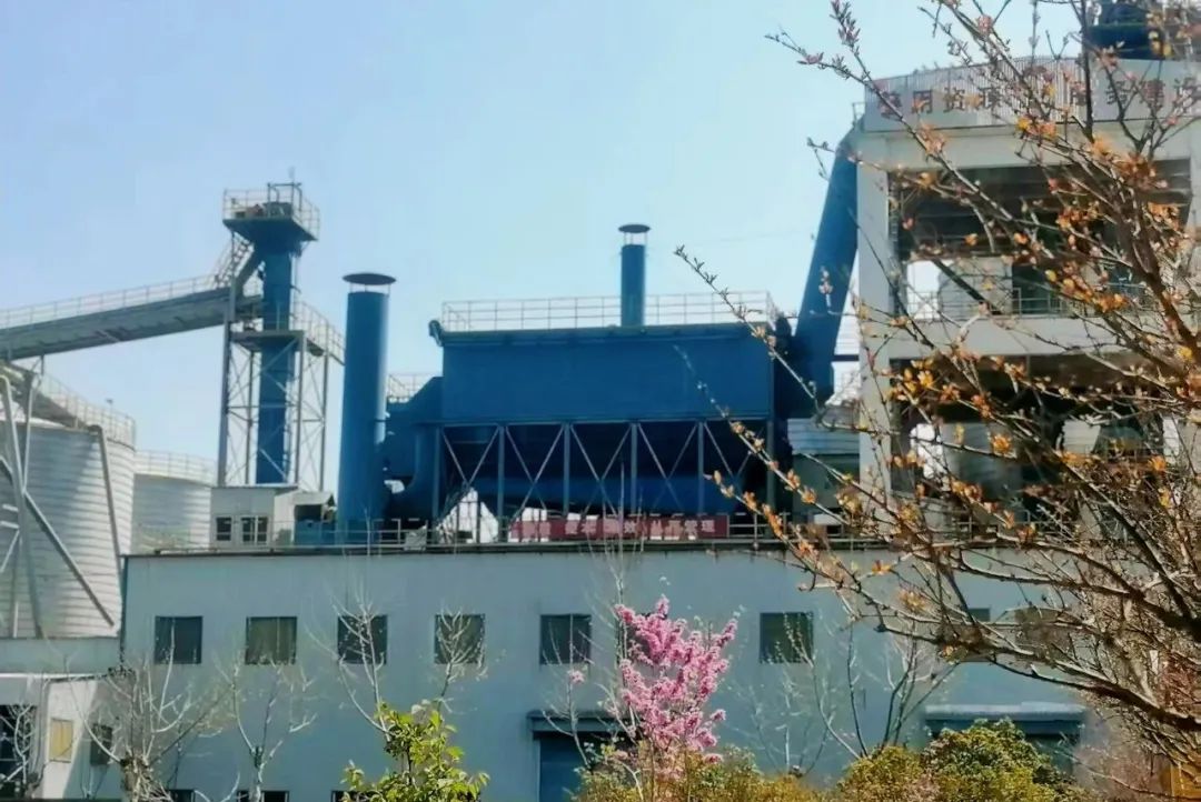 		CA88 | 玉兰粉、格桑红、；；；ㄓ辍辛唷暗魃獭崩锏纳禾烀婪藒_责任与文化_CA88集团有限公司	