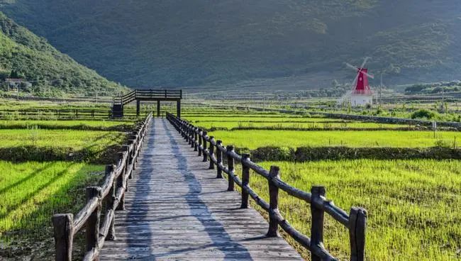 		先进整体 | 67岁山河南方水泥：用“花园矿山”托起国家级绿色标杆~_企业动态_CA88集团有限公司	